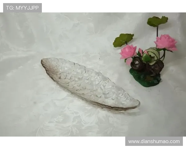 凯发体育网址最新入口，安全可靠的官方登录平台推荐